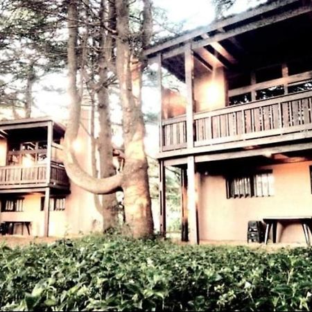Posta Chimango, Cabanas Frente Al Golf Los Acantilados Мар-дель-Плата Экстерьер фото