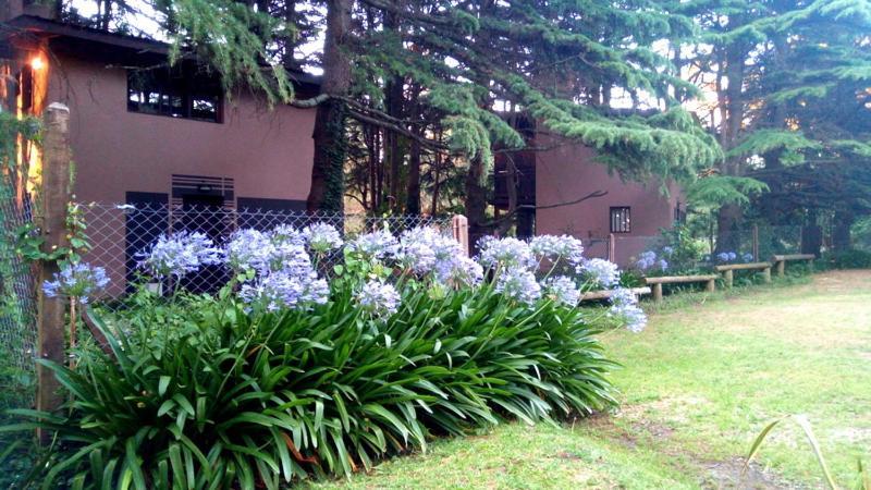 Posta Chimango, Cabanas Frente Al Golf Los Acantilados Мар-дель-Плата Экстерьер фото