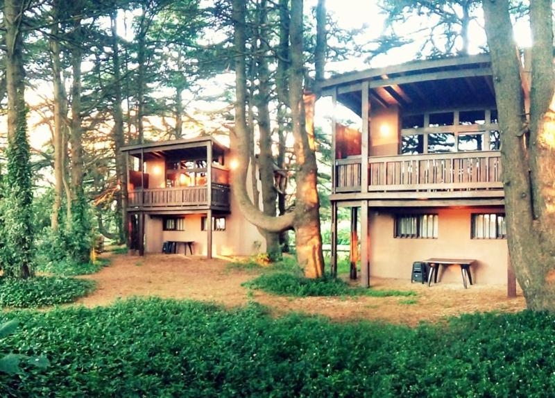 Posta Chimango, Cabanas Frente Al Golf Los Acantilados Мар-дель-Плата Экстерьер фото